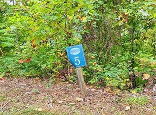LOT 5 Skyview Dr LOT 5, Hayesville, NC 28904