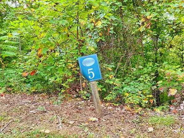 Lot 5 Skyview Drive LOT 5, Hayesville, NC 28904