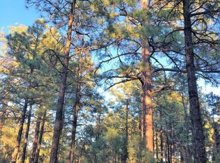 2941 Antelope Trl, Overgaard, AZ 85933