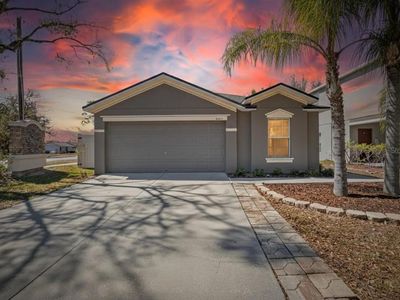 10613 Summer Azure Dr, Riverview, FL, 33578