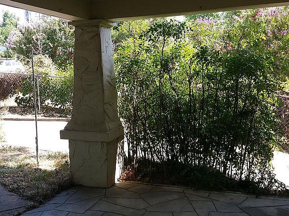 Bamboo foliage 