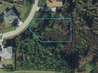 10 Woodborn Ln, Palm Coast, FL 32164