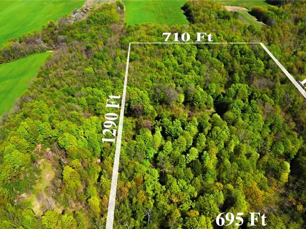 County Line Rd #35, Perrysburg, NY 14129