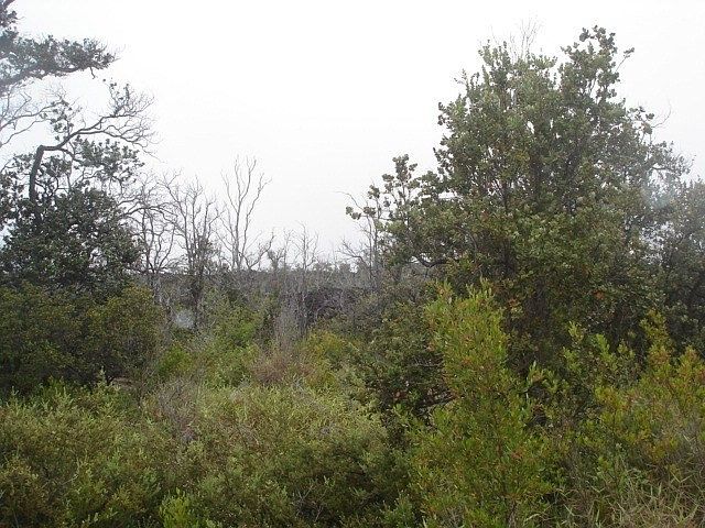 2nd image of Aloha Blvd Lot 34