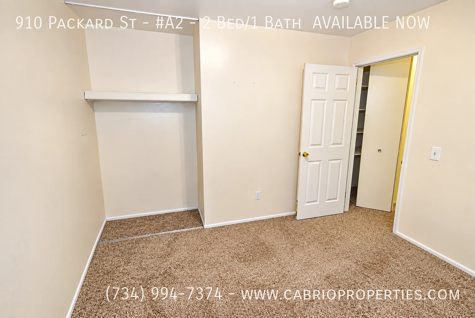 910 Packard St. — Photo 4