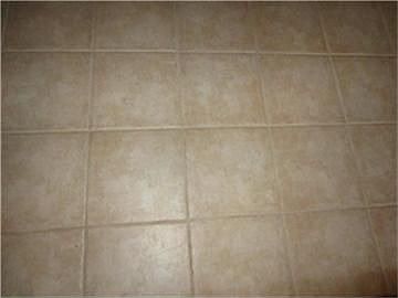 4th image of 1006 Golden Bear Ln