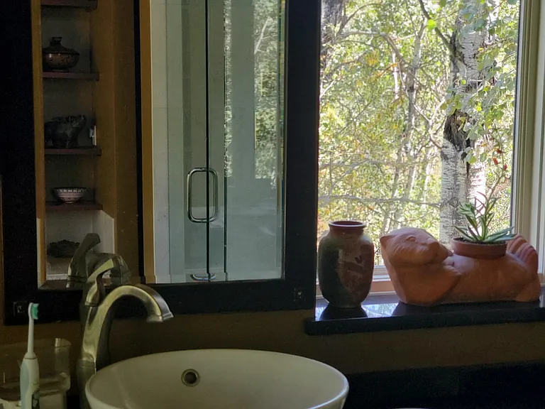 210 Valverdant Ct — Photo 35