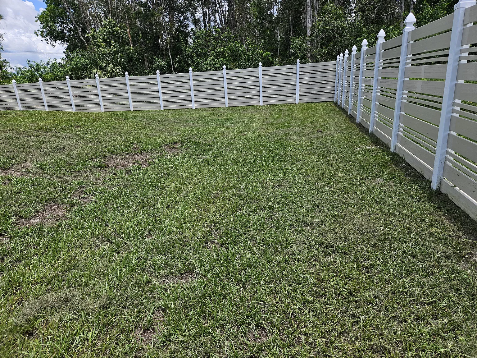 807 Lystra Ave — Photo 4
