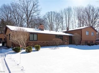 9735 Deerfield Pl, Kirtland, OH 44094