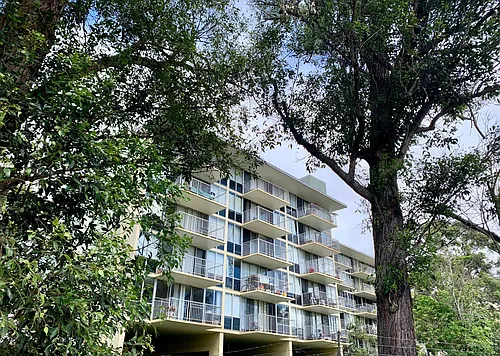 1600 Wilikina Dr Photo 1