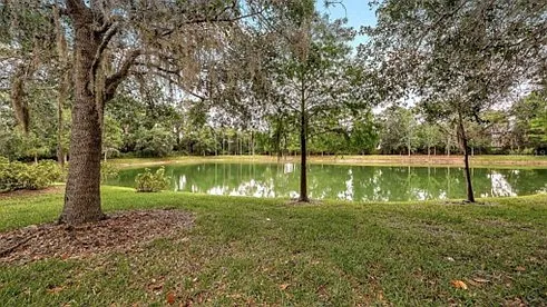 8128 Villa Grande Ct — Photo 30
