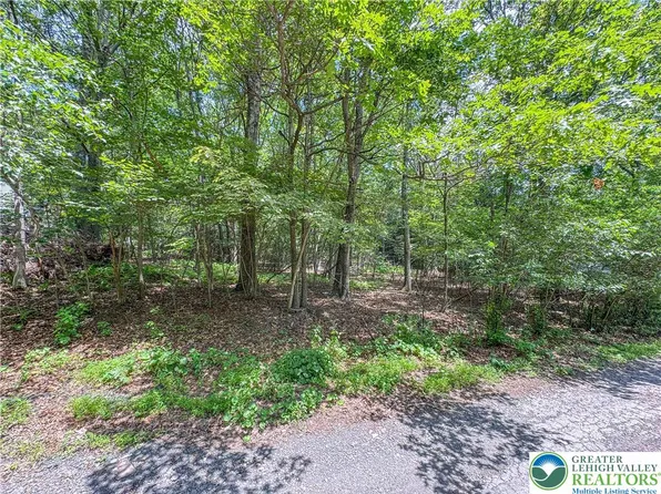 Birch Dr, Jim Thorpe, PA 18229