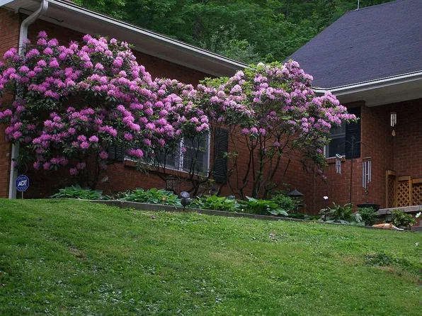 663 Redbird Rd, Williamsburg, KY 40769