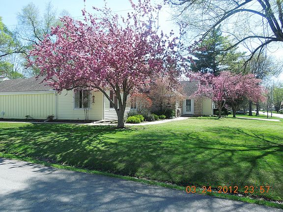 springtime beauty