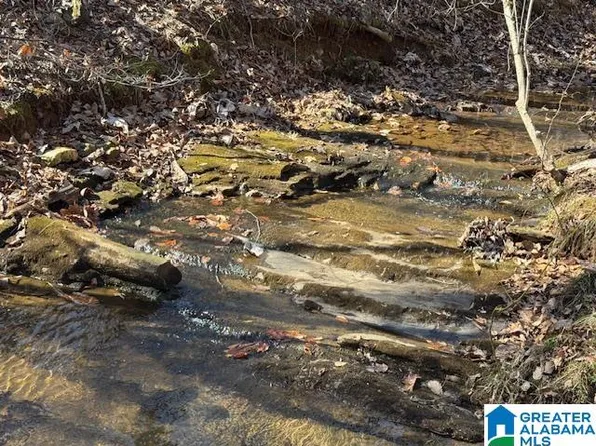 32/ACRE S County Road 637, Roanoke, AL 36274