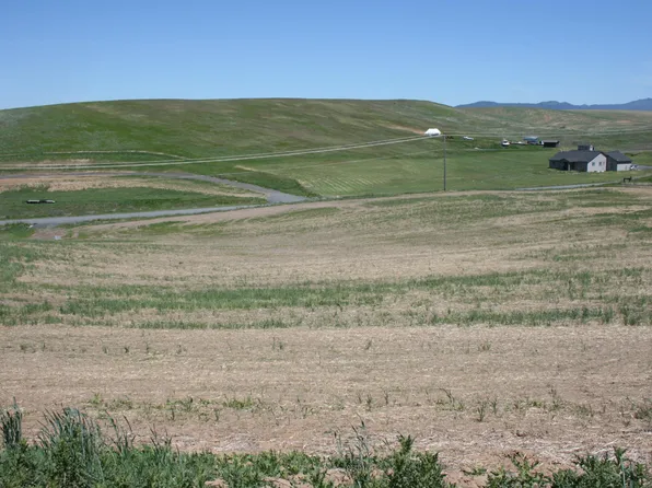 1491 Orville Boyd Rd, Pullman, WA 99163