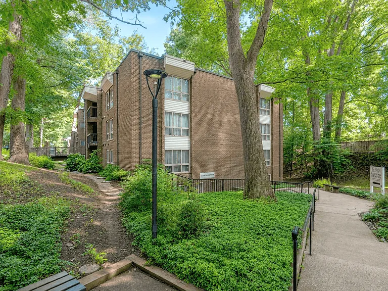 The Forest Apartments — Photo 33