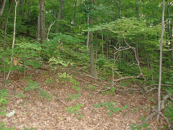 4th image of LOT 4 T M P 27 A 4 4 Section D Green Acre