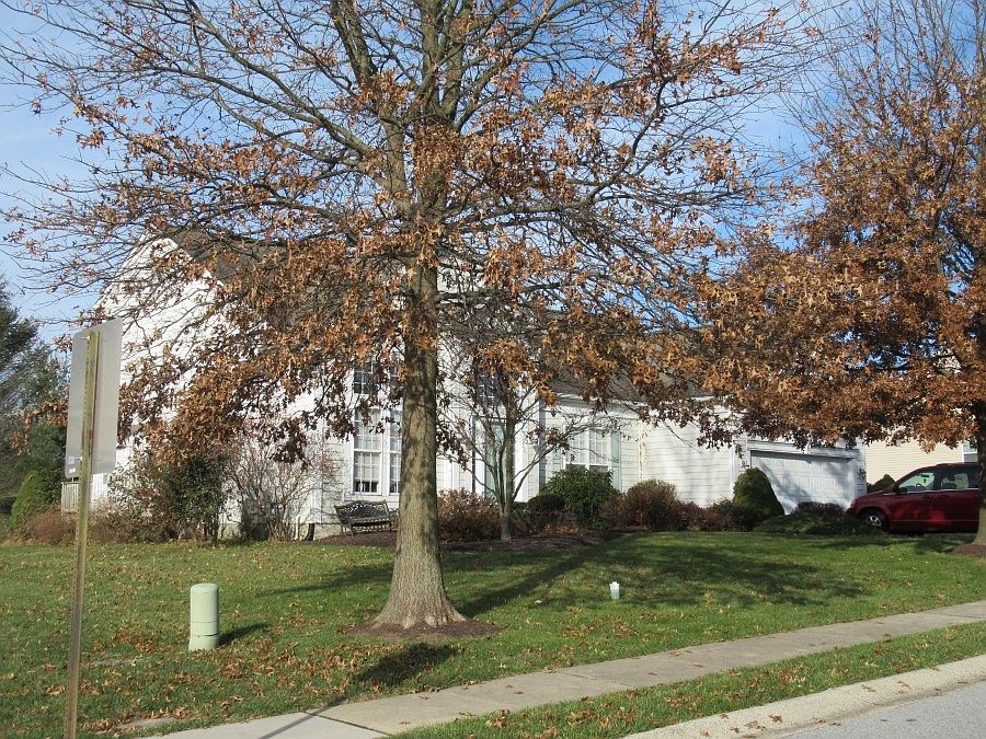 1st image of 311 Whitestone Rd