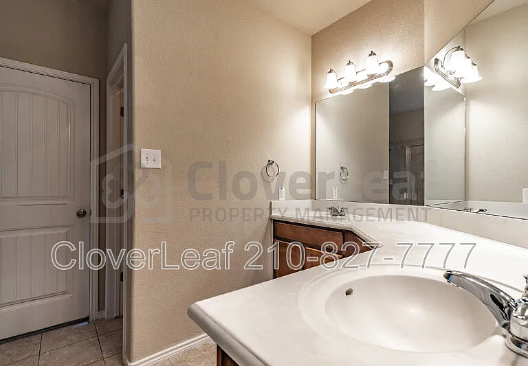 3734 Ox Eye Daisy — Photo 31