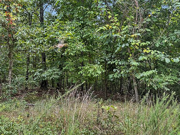 5th image of 28280 Lame Deer Ridge Rd