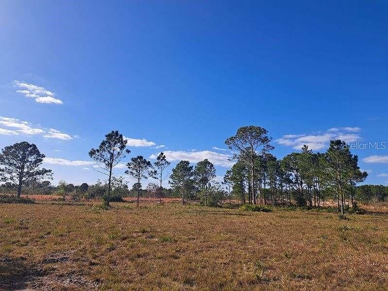 1st image of LARIAT LOT 156
