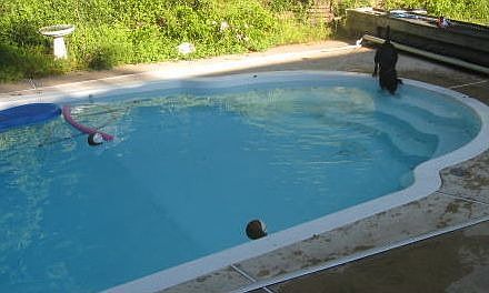 fiberglass pool