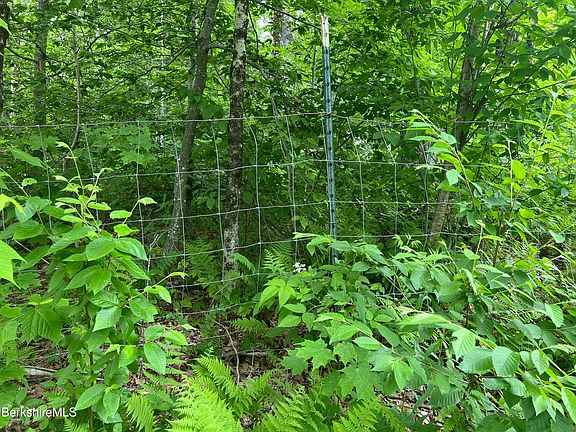 4th image of LOT 217 Three Jacobs Ladder Rd