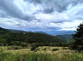 386 Red Tail Ridge Rd, Idaho Springs, CO 80452