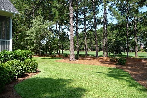 BackYard 13th Fairway