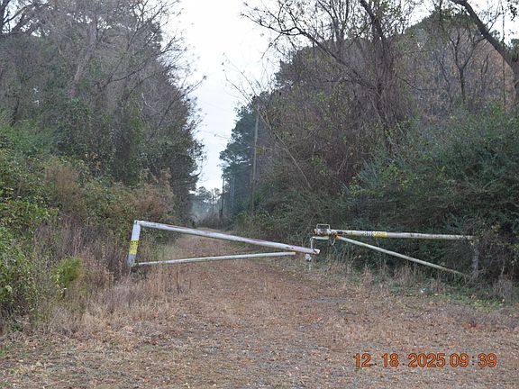 3rd image of 3635 S Us Highway 117 Alternate Lot 1