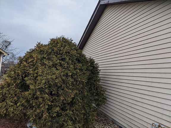 5th image of 22515 Amy Dr