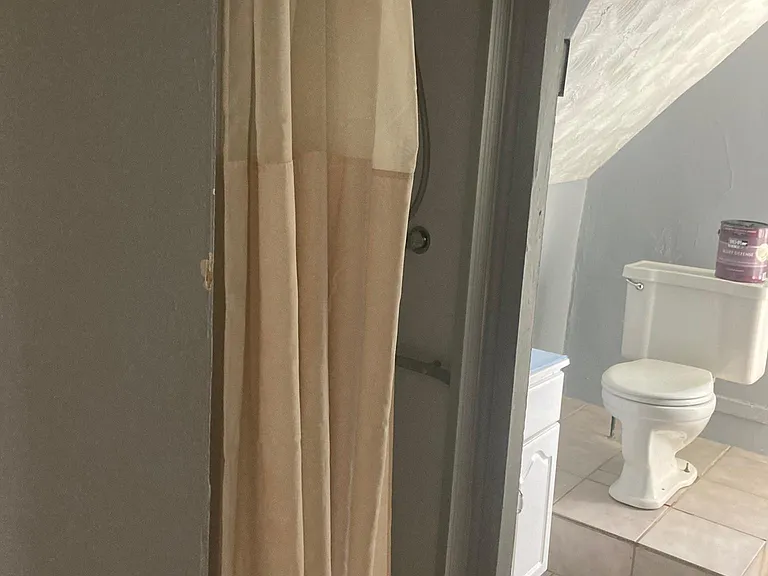 Bathroom picture 2