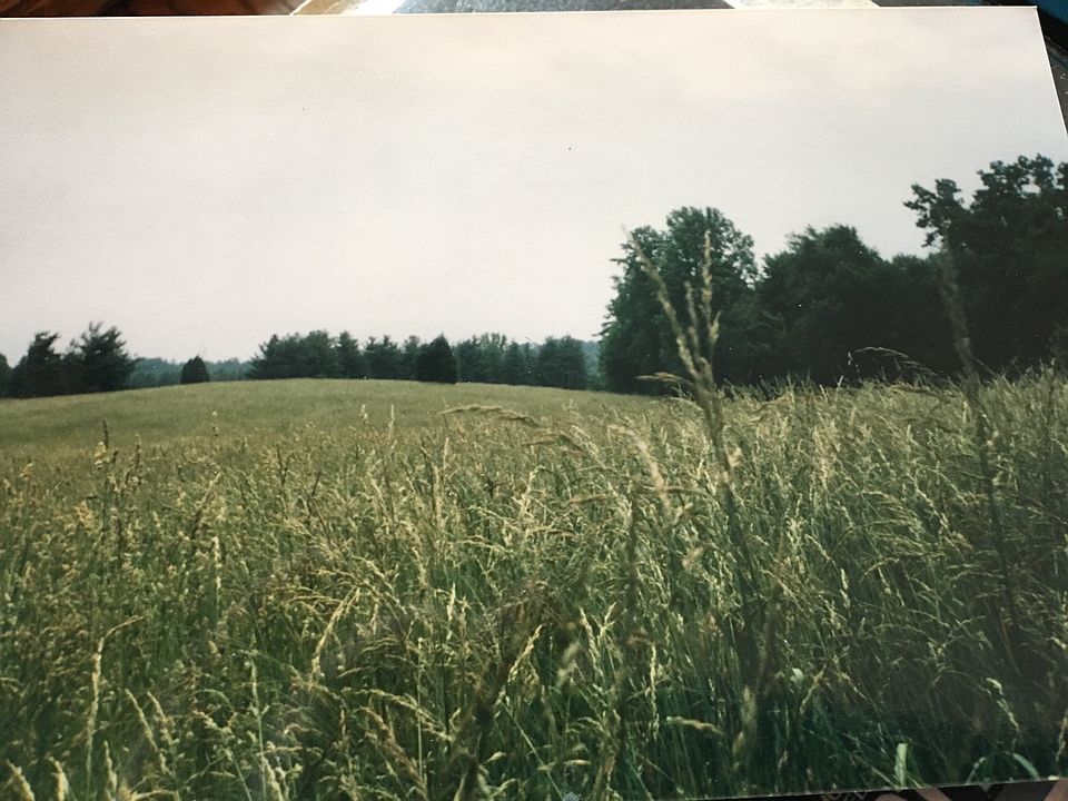 2nd image of Myers Rd