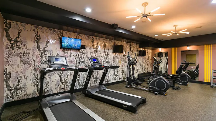 Rented by Tapiro Realty | media 14