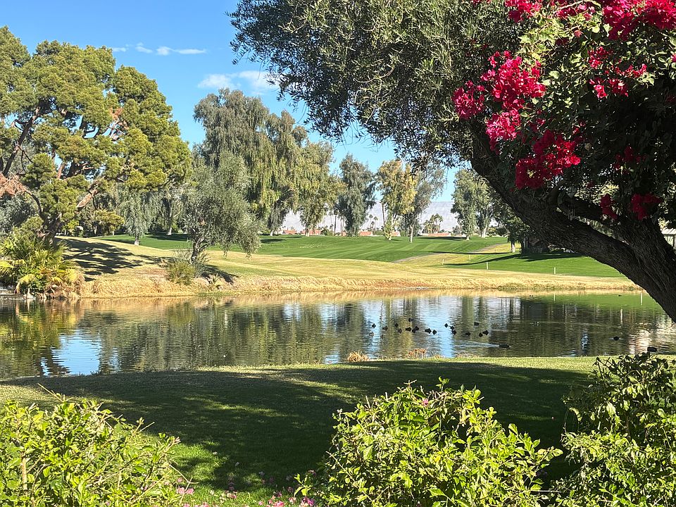 Beautiful view from dining room window.