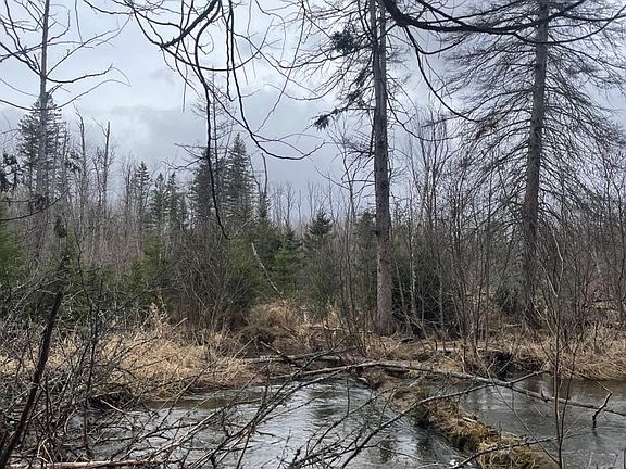 3rd image of 5705 S Lockwood Lake Rd