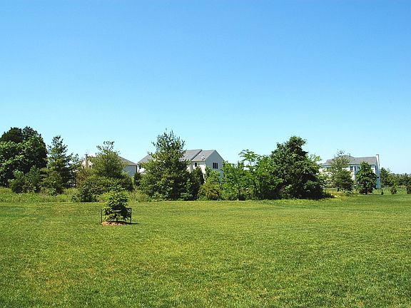 VIEW ACROSS THE BACK YARD