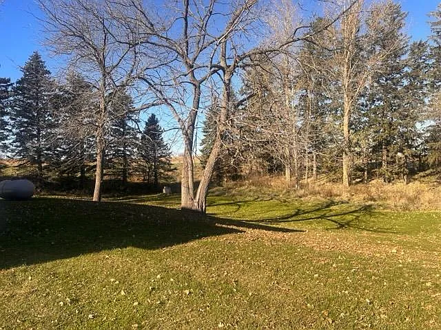 Back yard