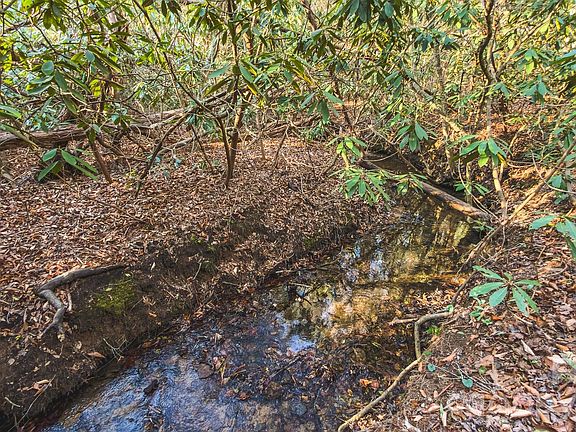4th image of All Healing Springs Rd #2