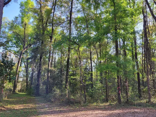0 SE Misty Gln, Lake City, FL 32024
