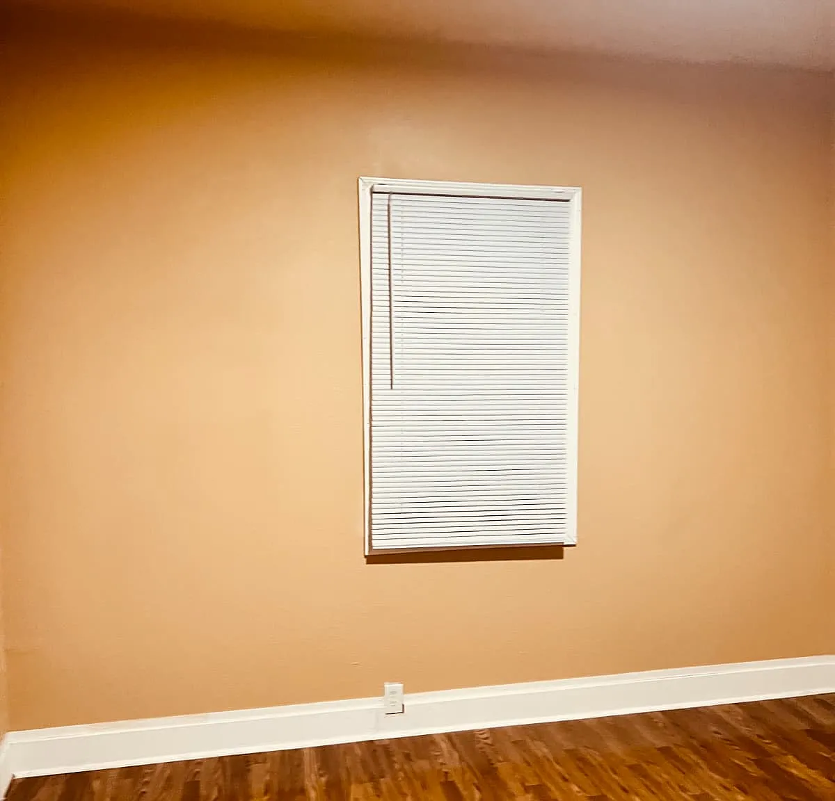 2 bed, 1.5 bath, 960 sqft, $875 — Photo 3