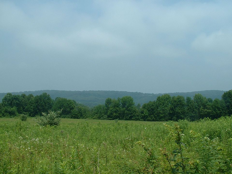 1st image of Hickory Ln