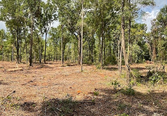 3rd image of 0 SW Ichetucknee Ave #J