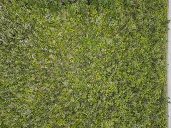 Kaleponi Rd Lot 69, Volcano, HI 96785