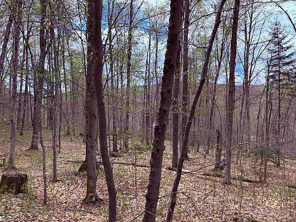 5th image of TBD Boyce Road #3