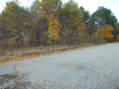 Brook St, Kaleva, MI, 49645
