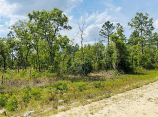 0 NE 132nd Ter LOT 3, Williston, FL 32696