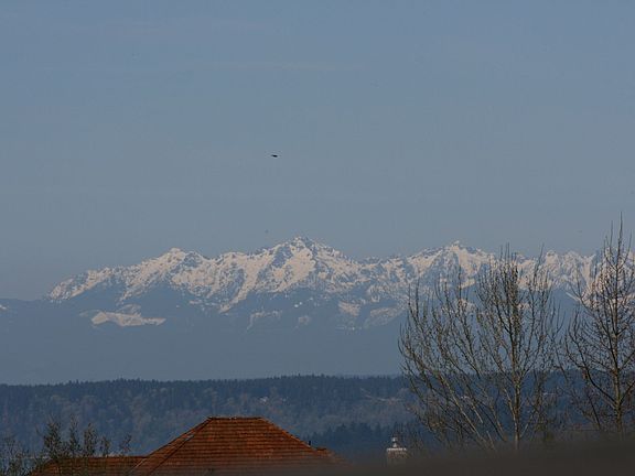 Olympic View