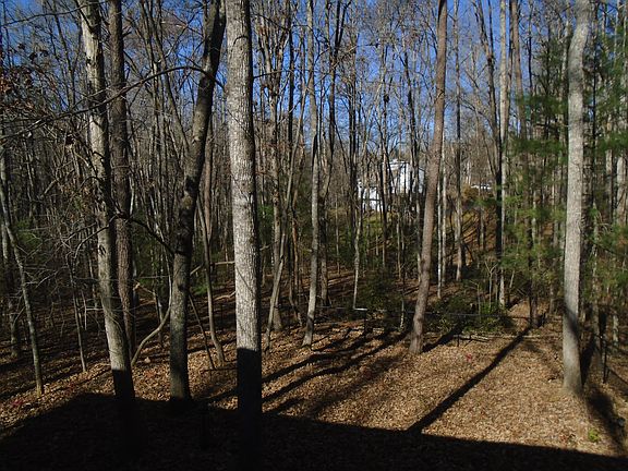 Fenced yard area and woods